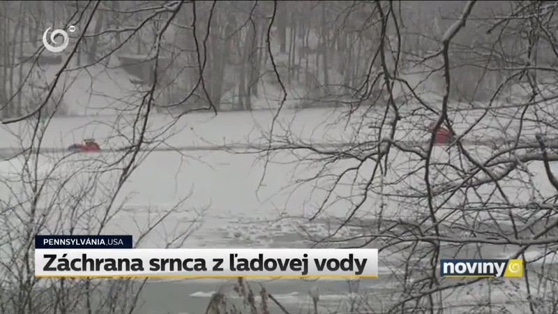 Záchrana srnca z ľadovej vody