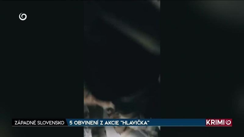 5 OBVINENÍ Z AKCIE "HLAVIČKA"