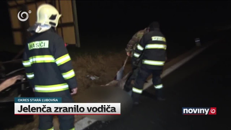 Jelenča zranilo vodiča