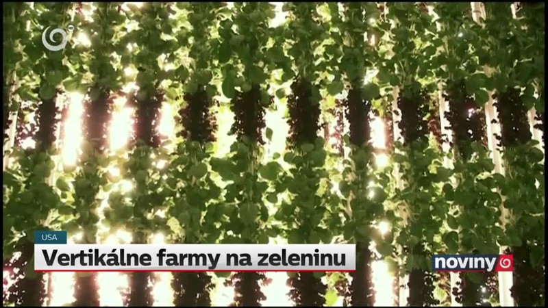 Vertikálne farmy na zeleninu