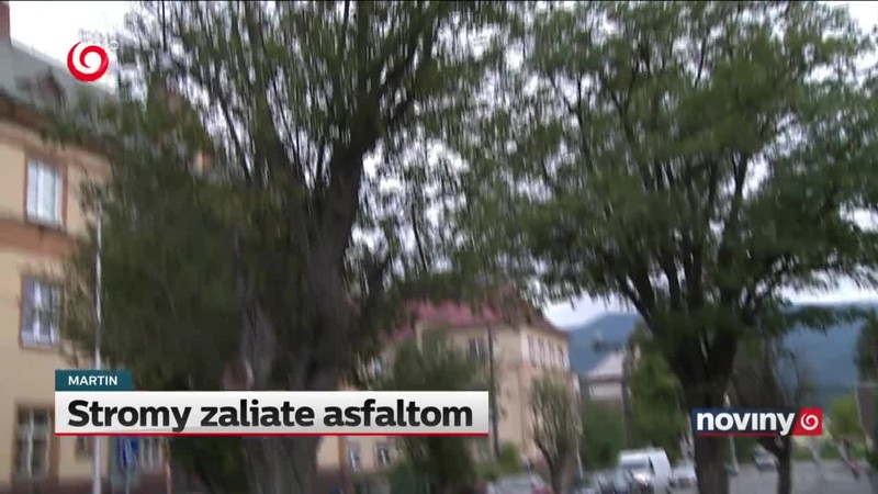 Stromy zaliate asfaltom
