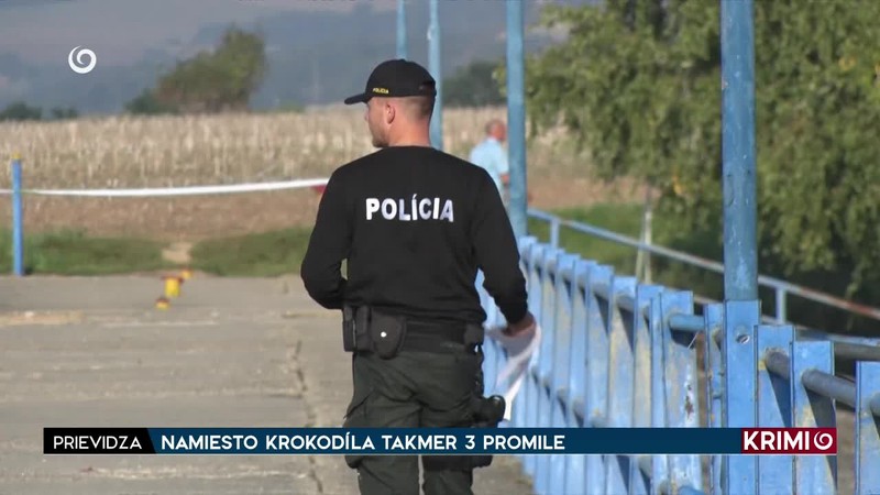 NAMIESTO KROKODÍLA TAKMER 3 PROMILE