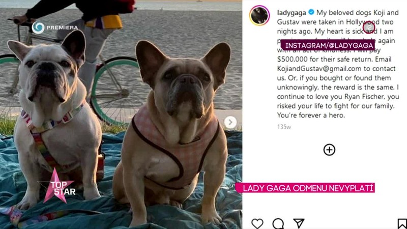 Lady Gaga odmenu nevyplatí