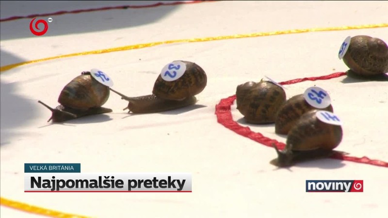 Najpomalšie preteky