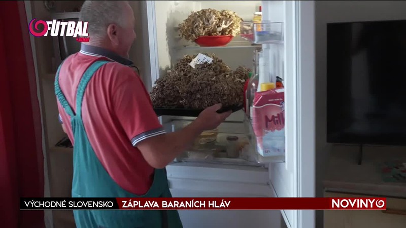 ZÁPLAVA BARANÍCH HLÁV