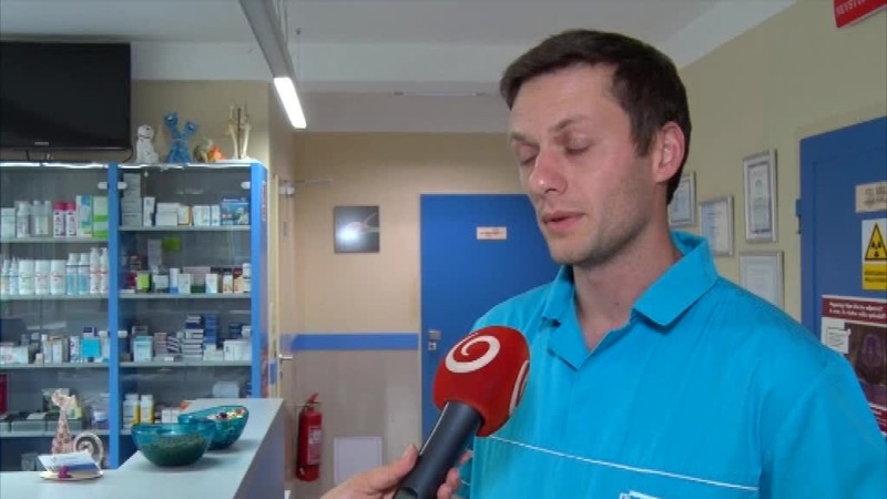 Keď vás uštipne had, zachovajte pokoj. Odsávanie jedu je mýtus