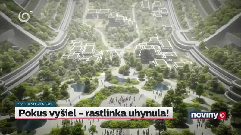 Pokus vyšiel - rastlinka uhynula!