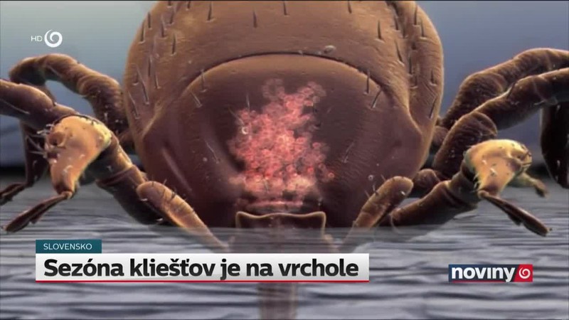 Sezóna kliešťov je na vrchole