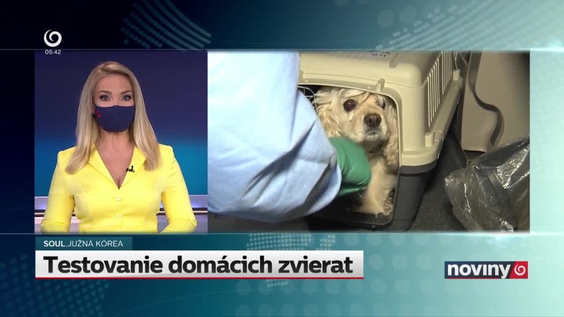 Testovanie domácich zvierat