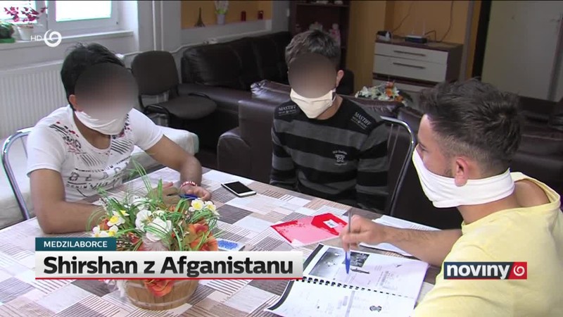 Shirshan z Afganistanu