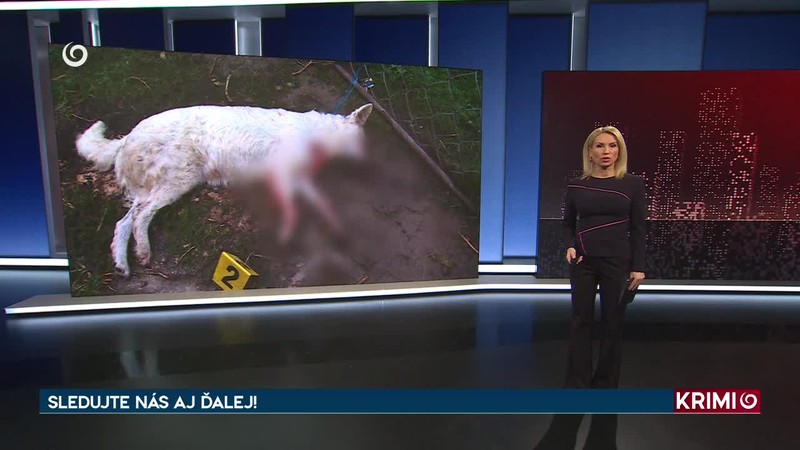 KĽÚČOVÁ JE OTÁZKA ZNEUŽITIA