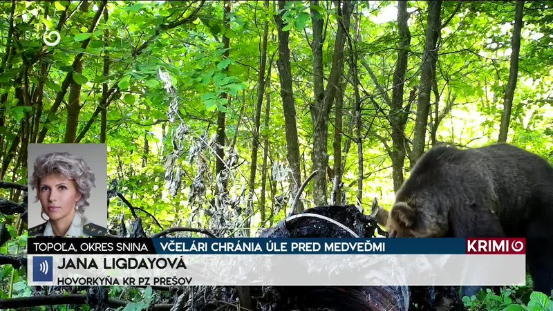 VČELÁRI CHRÁNIA ÚLE PRED MEDVEĎMI