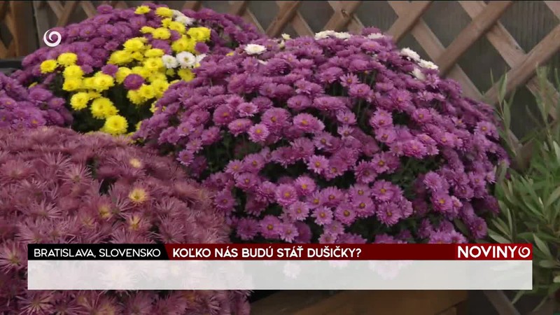 KOĽKO NÁS BUDÚ STÁŤ DUŠIČKY?
