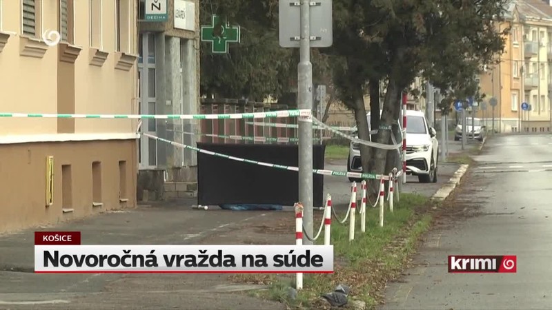 Novoročná vražda na súde