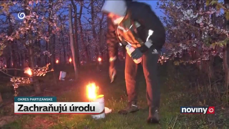 Zachraňujú úrodu