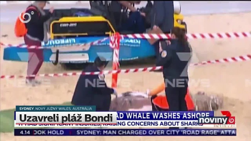Uzavreli pláž Bondi