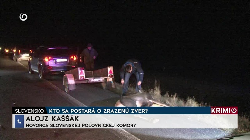 KTO SA POSTARÁ O ZRAZENÚ ZVER?