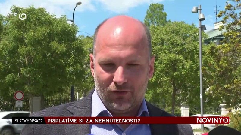 PRIPLATÍME SI ZA NEHNUTEĽNOSTI?