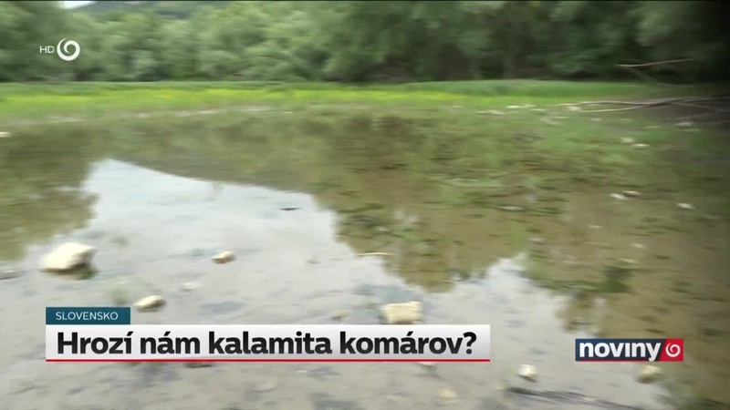 Hrozí nám kalamita komárov?