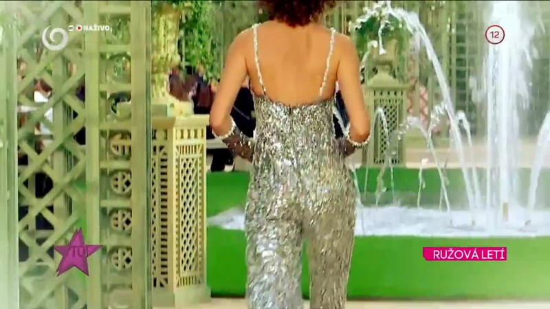 RUŽOVÁ LETÍ