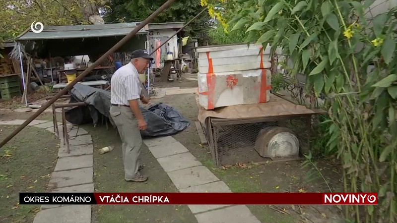 VTÁČIA CHRÍPKA
