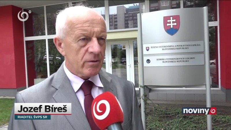 "Adopciu" psov komplikujú čipy