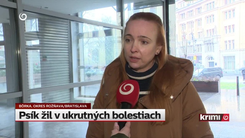 Psík žil v ukrutných bolestiach