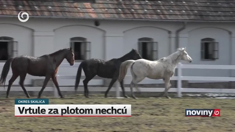 Vrtule za plotom nechcú