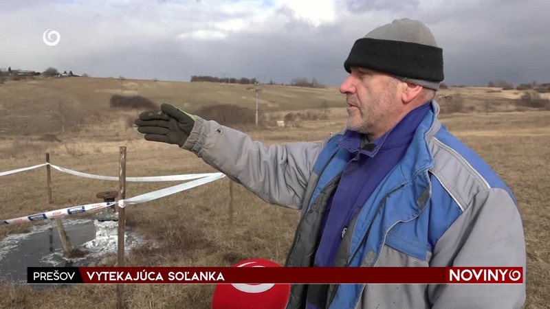 VYTEKAJÚCA SOĽANKA