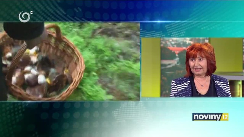 Na huby! Ale opatrne