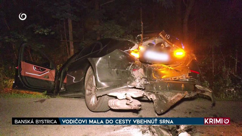 VODIČOVI MALA DO CESTY VBEHNÚŤ SRNA