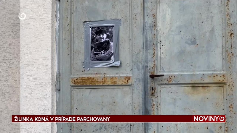 ŽILINKA KONÁ V PRÍPADE PARCHOVANY