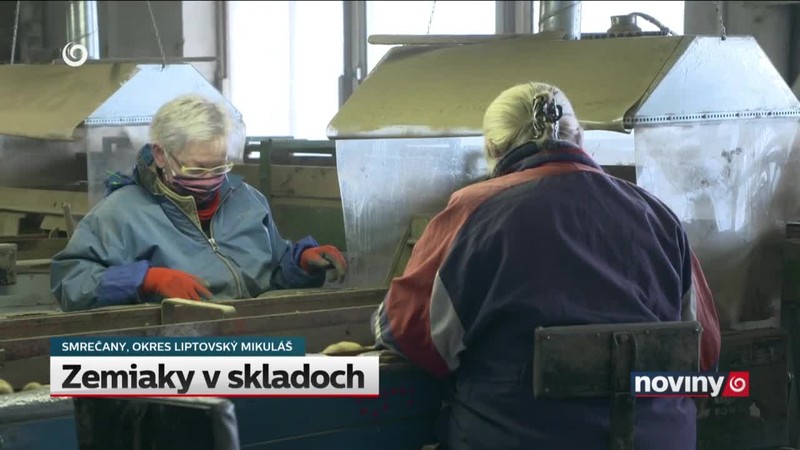 Zemiaky v skladoch