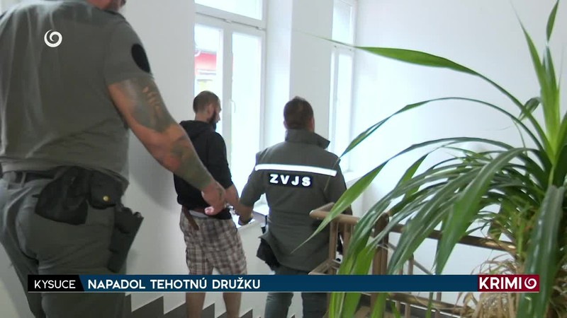 NAPADOL TEHOTNÚ DRUŽKU