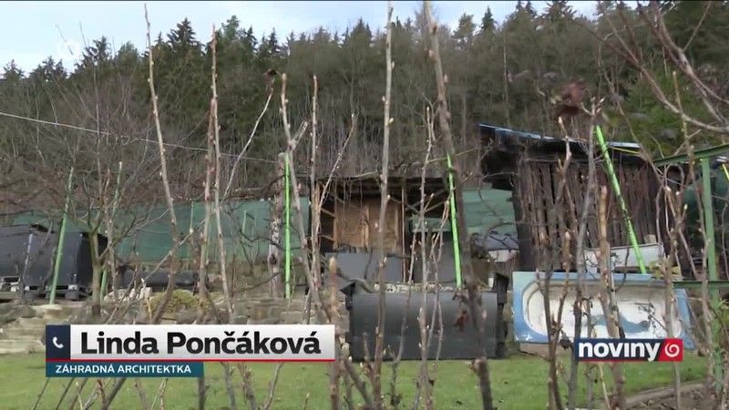 Rozkvitli kvietky