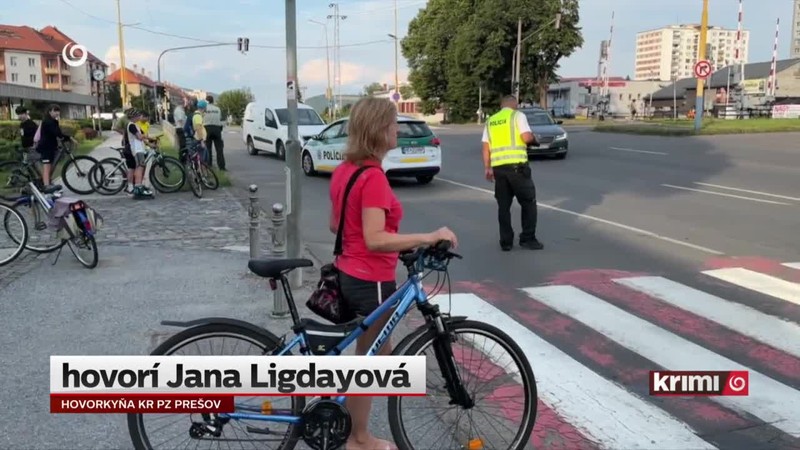 Vodič údajne išiel na červenú