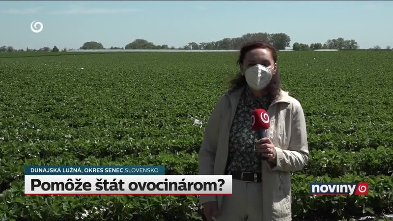 Pomôže štát ovocinárom?