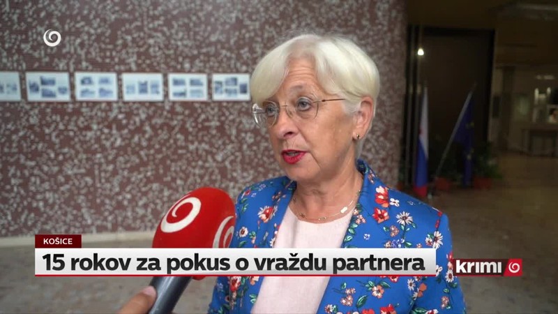 15 rokov za pokus o vraždu partnera
