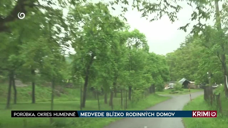MEDVEDE BLÍZKO RODINNÝCH DOMOV