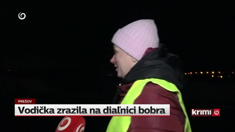 Vodička zrazila na diaľnici bobra