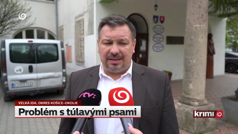 Problém s túlavými psami
