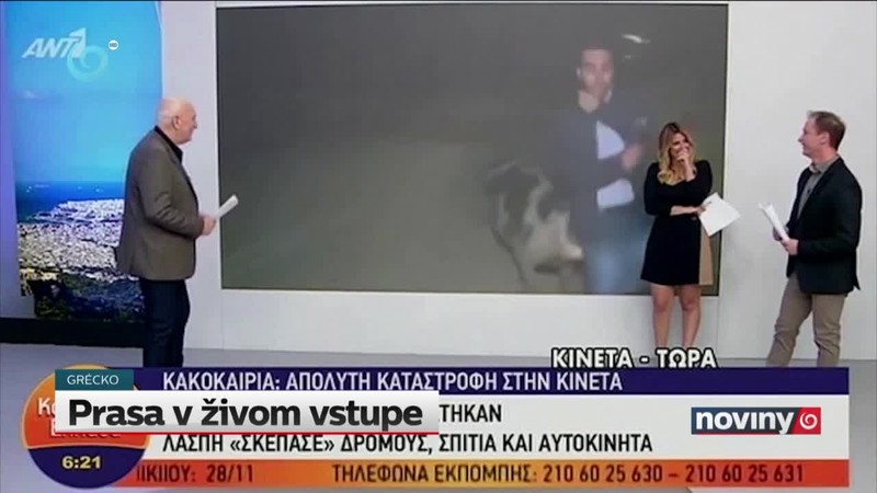 Prasa v živom vstupe