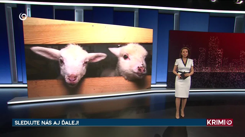 POLICAJTI NAHÁŇALI AGRESÍVNEHO MUŽA