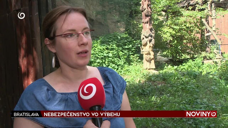NEBEZPEČENSTVO VO VÝBEHU