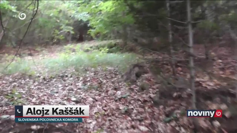 Diskusia o odstreloch