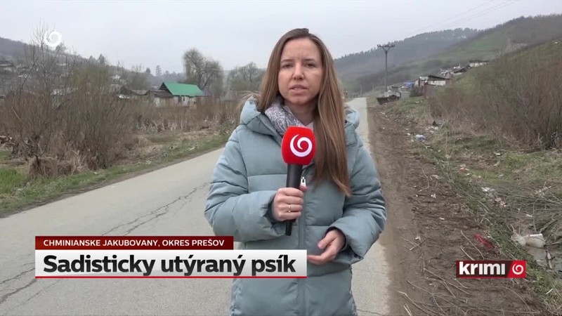 Sadisticky utýraný psík