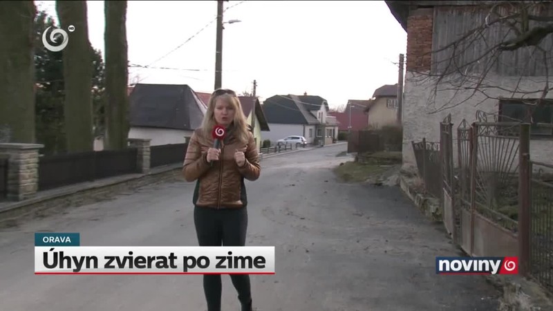 Úhyn zvierat po zime