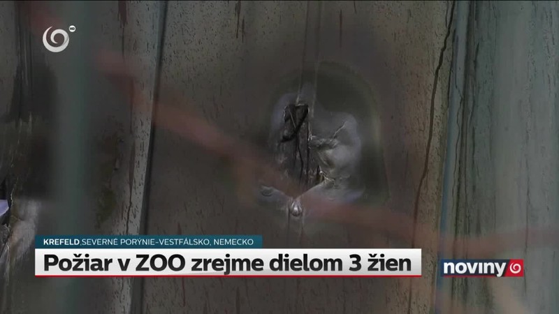 Požiar v ZOO zrejme dielom 3 žien