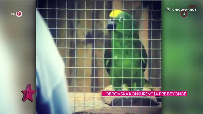 OBROVSKÁ KONKURENCIA PRE BEYONCÉ