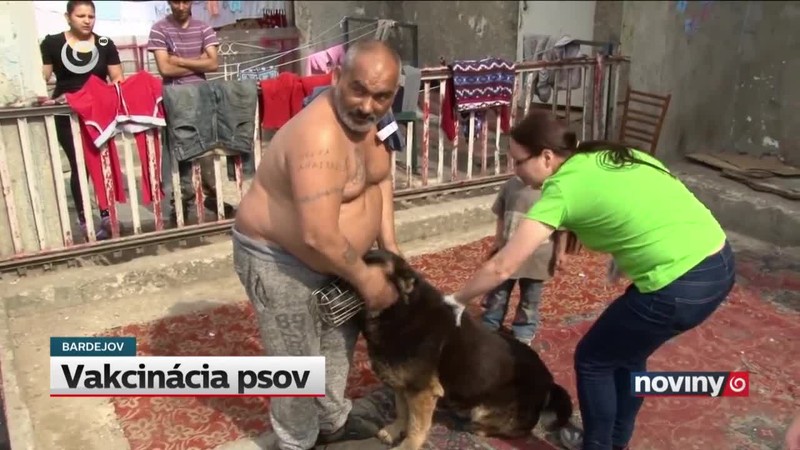 Vakcinácia psov